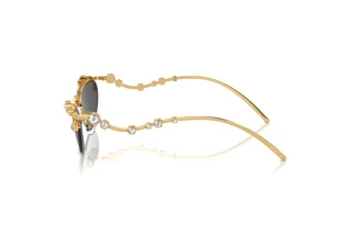 Zijaanzicht Swarovski SK7016 (400487)