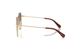 Zijaanzicht Swarovski SK7021D (400213)