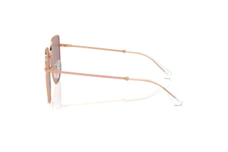 Zijaanzicht Swarovski SK7021D (40147N)