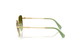 Zijaanzicht Swarovski SK7029 (4004E8)