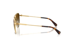 Zijaanzicht Swarovski SK7031 (4037T5)
