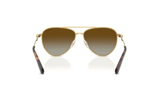 Achteraanzicht Swarovski SK7031 (4037T5)