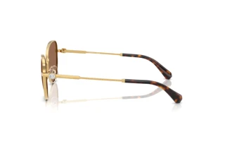 Zijaanzicht Swarovski SK7032 (400473)