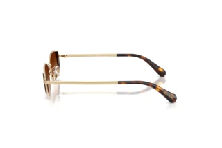 Zijaanzicht Swarovski SK7035D (401374)