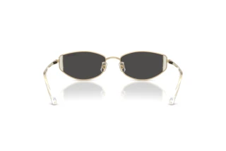 Achteraanzicht Swarovski SK7035D (401387)