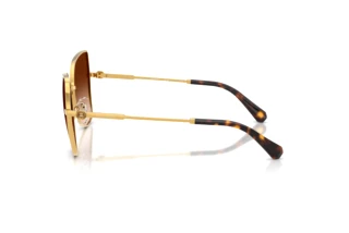 Zijaanzicht Swarovski SK7037 (400774)