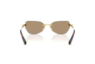 Achteraanzicht Swarovski SK7038 (40077J)