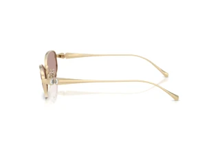 Zijaanzicht Swarovski SK7042 (40467N)