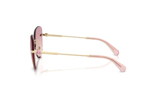 Zijaanzicht Swarovski SK7043 (401368)