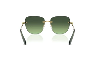 Achteraanzicht Swarovski SK7043 (40172A)