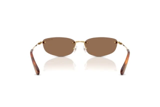 Achteraanzicht Swarovski SK7045D (400473)