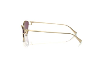 Zijaanzicht Tiffany TF3095 (6194AK)