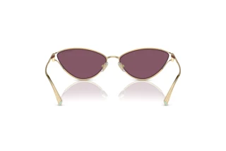 Achteraanzicht Tiffany TF3095 (6194AK)