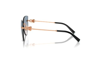 Zijaanzicht Tiffany TF3096 (610516)