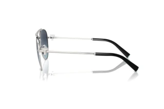 Zijaanzicht Tiffany TF3101B (60014U)