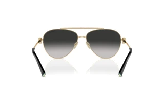 Achteraanzicht Tiffany TF3101B (60213C)