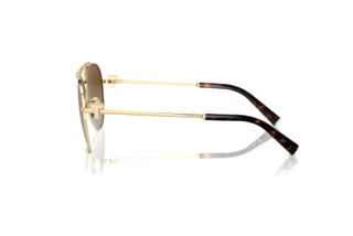 Zijaanzicht Tiffany TF3101B (6208T5)