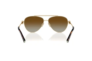 Achteraanzicht Tiffany TF3101B (6208T5)