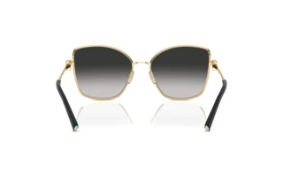 Achteraanzicht Tiffany TF3102B (60213C)