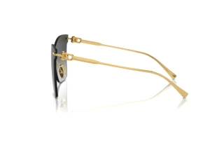 Zijaanzicht Tiffany TF3103K (62113C)