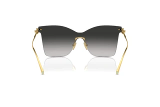 Achteraanzicht Tiffany TF3103K (62113C)
