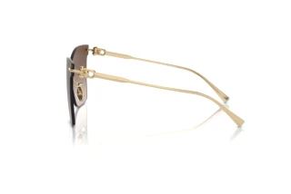Zijaanzicht Tiffany TF3103K (62123B)