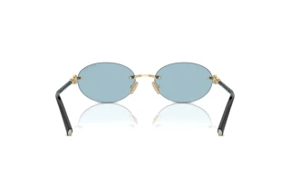 Achteraanzicht Tiffany TF3104D (602180)