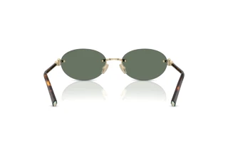 Achteraanzicht Tiffany TF3104D (623882)