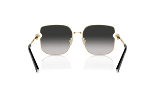 Achteraanzicht Tiffany TF3105D (6021S4)