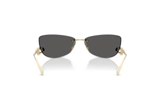 Achteraanzicht Tiffany TF3112K (6220S4)