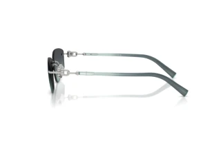 Zijaanzicht Tiffany TF3114 (60012G)