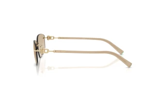 Zijaanzicht Tiffany TF3114 (602111)