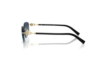 Zijaanzicht Tiffany TF3114 (62029S)