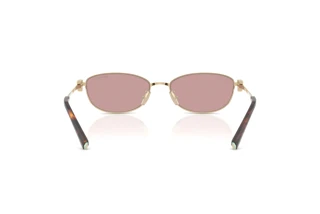 Achteraanzicht Tiffany TF3115 (6189VS)