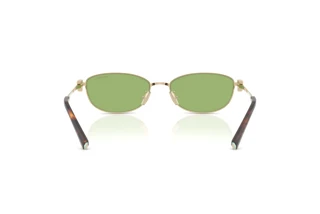 Achteraanzicht Tiffany TF3115 (6229/2)