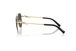 Zijaanzicht Tiffany TF3116 (6021S4)