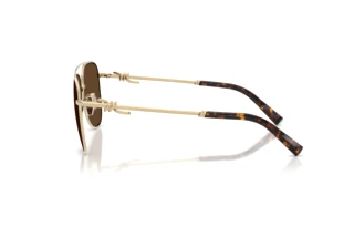 Zijaanzicht Tiffany TF3116 (61933G)