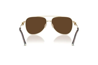 Achteraanzicht Tiffany TF3116 (61933G)