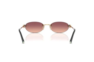 Achteraanzicht Tiffany TF3119D (62408D)