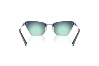 Achteraanzicht Tiffany TF3120 (60019S)