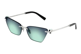Vooraanzicht Tiffany TF3120 (60019S)