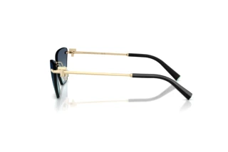 Zijaanzicht Tiffany TF3120 (60219S)