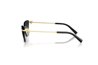 Zijaanzicht Tiffany TF3120 (62413C)