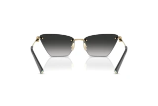 Achteraanzicht Tiffany TF3120 (62413C)