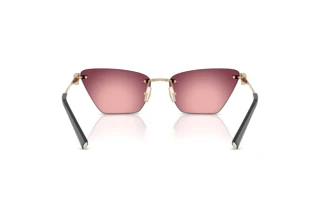 Achteraanzicht Tiffany TF3120 (62428H)