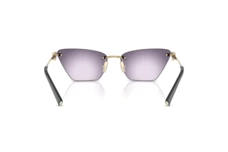 Achteraanzicht Tiffany TF3120 (62438H)