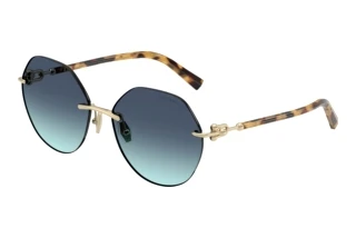 Vooraanzicht Tiffany TF3123 (60219S)