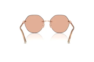 Achteraanzicht Tiffany TF3123 (6105A2)