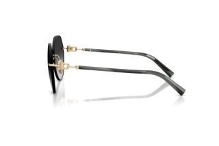 Zijaanzicht Tiffany TF3123 (62413C)