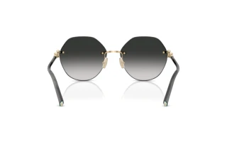 Achteraanzicht Tiffany TF3123 (62413C)
